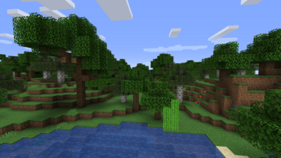 Детальная графика (OptiFine).png